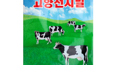 밀업티 후기: 솔직한 내 경험과 꿀팁 대방출! ✨