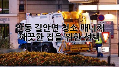 안동 길안면 청소 매니저, 깨끗한 집을 위한 선택